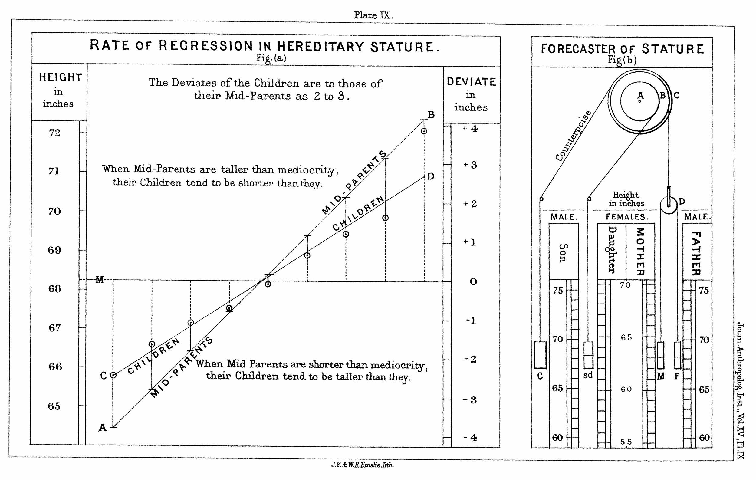 Galton's original 1886 chart: Rate of Regression in Hereditary Stature, showing mid-parent height vs child height with the regression line